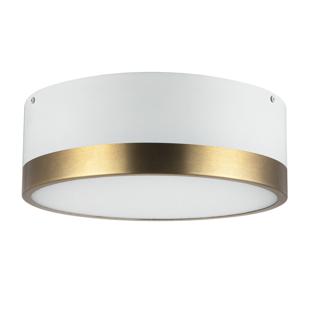 Mossy 2-Light 12" Flush Mount